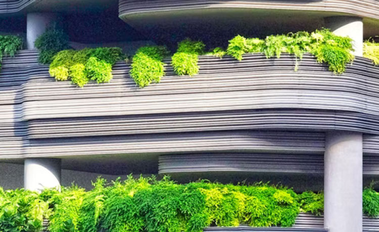 David_شركة نينغبو ويلكادي للمعدات الطبية المحدودة