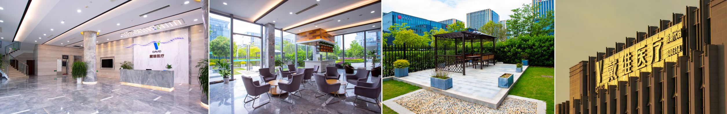 David_التطوير