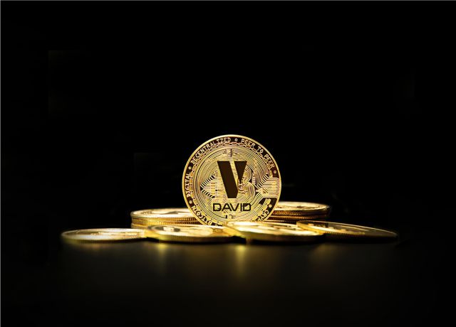 David_نظام الرواتب