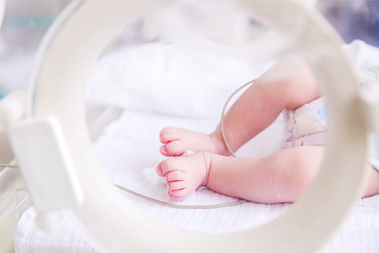 David_سهل الإستخدام 