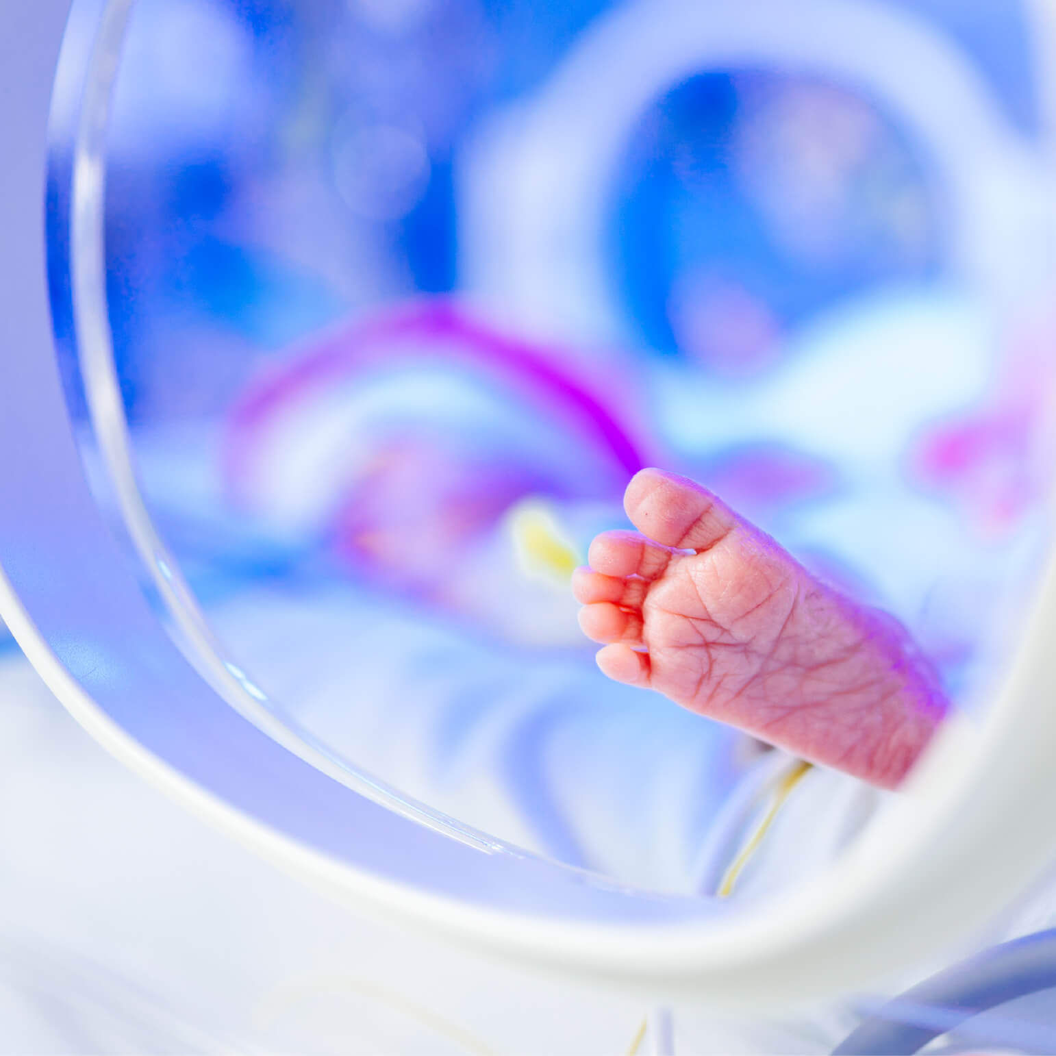 ديفيد_منتجات رعاية الطفل